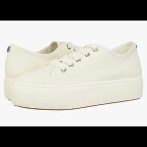 Steve Madden Woman’s Elore Sneaker, LIKE NEW!!